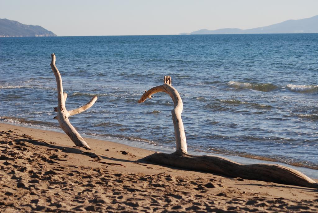 Villetta Lorenza Marina di Grosseto Εξωτερικό φωτογραφία