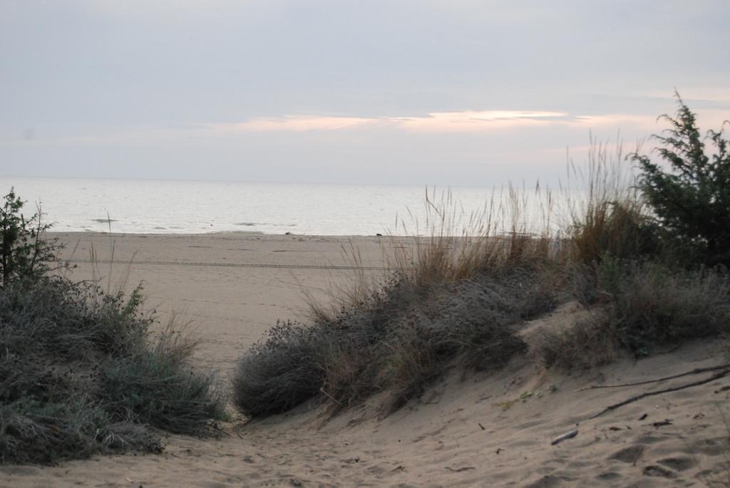 Villetta Lorenza Marina di Grosseto Εξωτερικό φωτογραφία